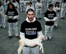 Maltrato: los hombres que no amaban a los animales