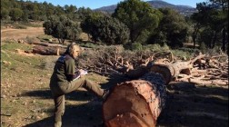 “La causa de quemar montes para obtener su recalificación había desaparecido y tememos que con la ley de montes surja de nuevo”