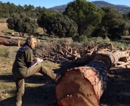 “La causa de quemar montes para obtener su recalificación había desaparecido y tememos que con la ley de montes surja de nuevo”